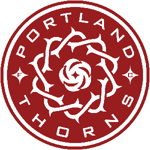 华盛顿精神女足